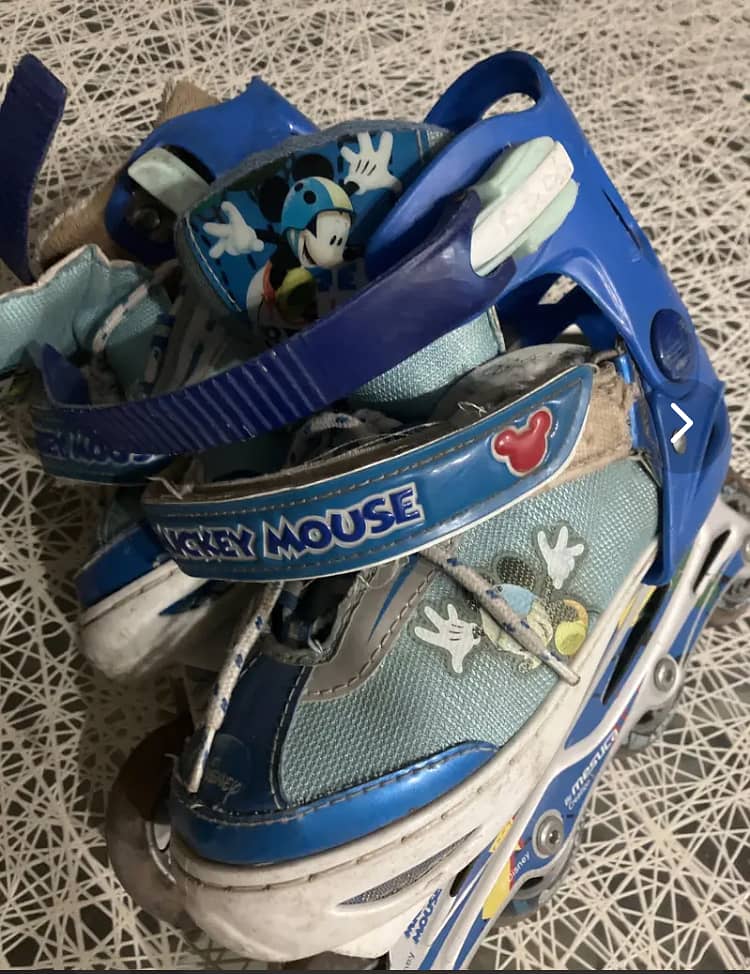 Skating shoes 0