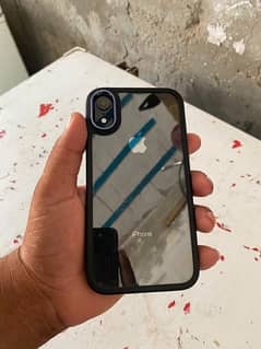 iPhone XR non pta