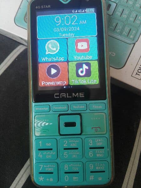 calMe 4g star 03172811131 5