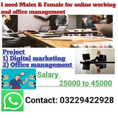 I need Male and female staff for digital marketing & office management