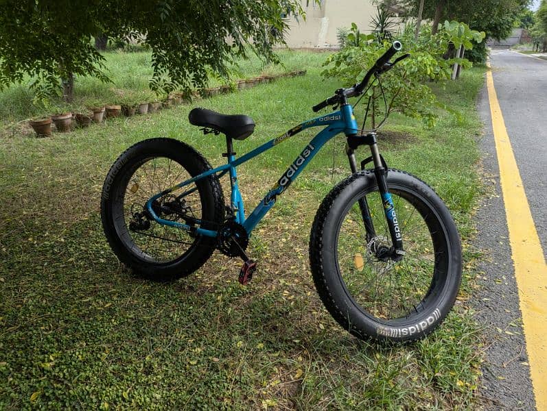 fatbike bycycle mtb 1