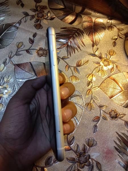 iphone 11 pta aproved 1