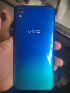 vivo