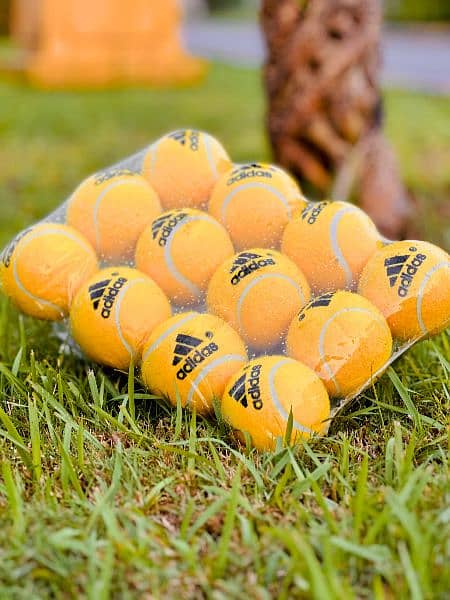 Cricket Ball Pure Rubber Premium Quality 1 Dozen: 1650 MinOrder: 5 7