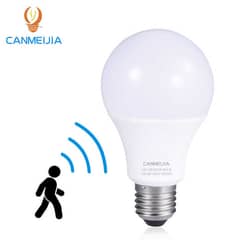 Motion Sensor Bulbs