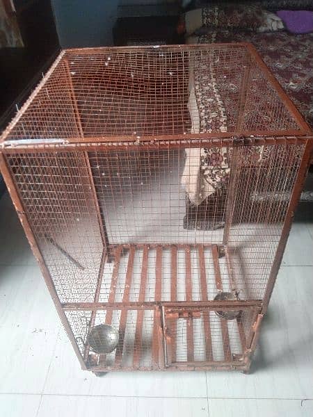 Cage For Sale 2