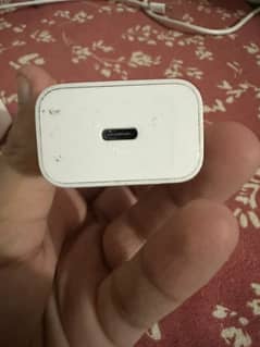 Pixel 100% original charger