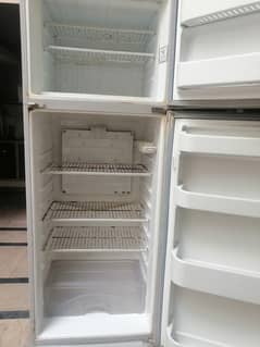 Refrigerators & Freezers / Refrigerators