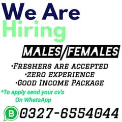 Fresh Staff (males/females) Required for our office .