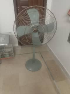 Asia stand fan