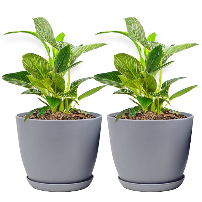 Set Of 2 Decorative Plant Pots 2