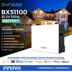 Dyness Lithium ion BX-51100