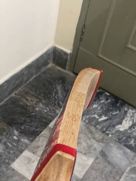 Babu Sports Player Edition Bat 2