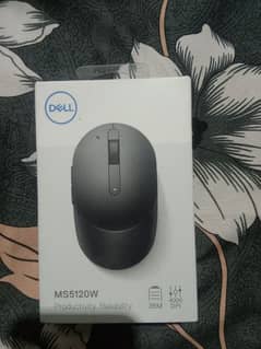 Dell Wireless mouse 2023 model