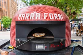 Wood & Gas Fired Pizza Oven|Pizza Oven|Pizza Oven For Sale|Fire Bricks