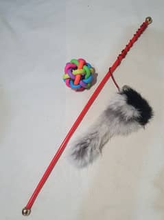 Cat stick toy & ball 0