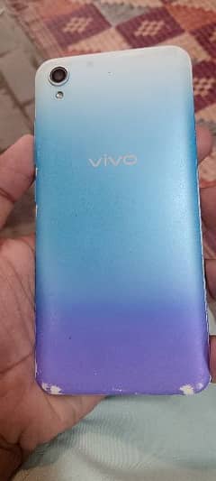 vivo