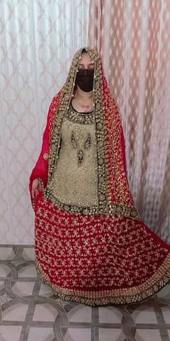 bridal lehenga choli with heavy dubata