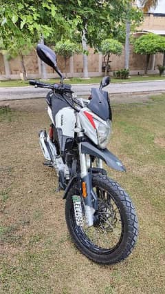 Derbi ETX 150 - Italian Bike 150cc