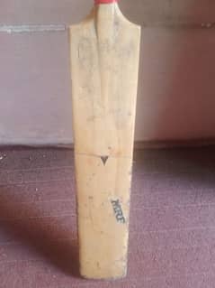 Hard ball cricket bat