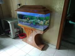 Fish Aquarium Fish Tank 3x2x1 Ft