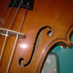 imported violin 4/4