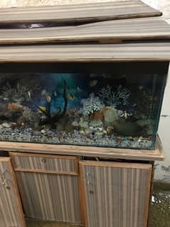 Fish Aquarium for sale