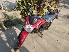 Suzuki GR 150 2024 Showroom Condition Home used bike