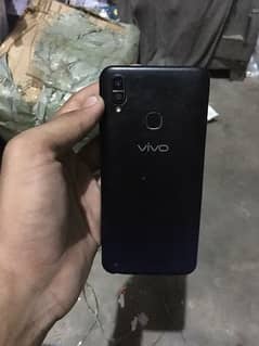 vivo