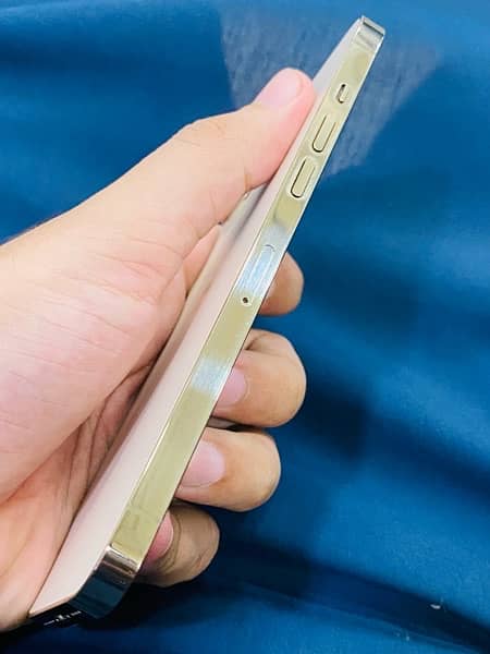 iPhone 12 Pro Max 128GB PTA Approved Waterpack 3