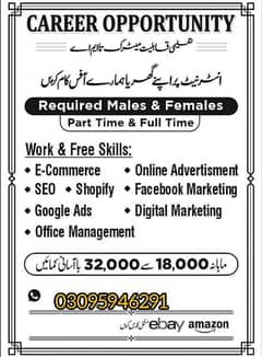 Job Opportunities