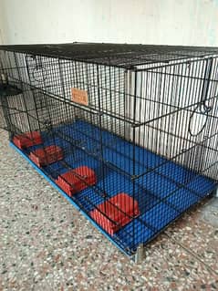 folding 2portion cage strong (pingra) +DNA breeders pair