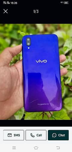 Vivo