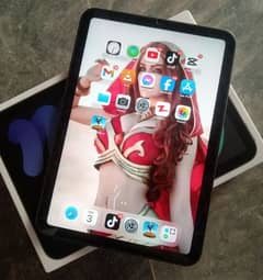 iPad mini 6