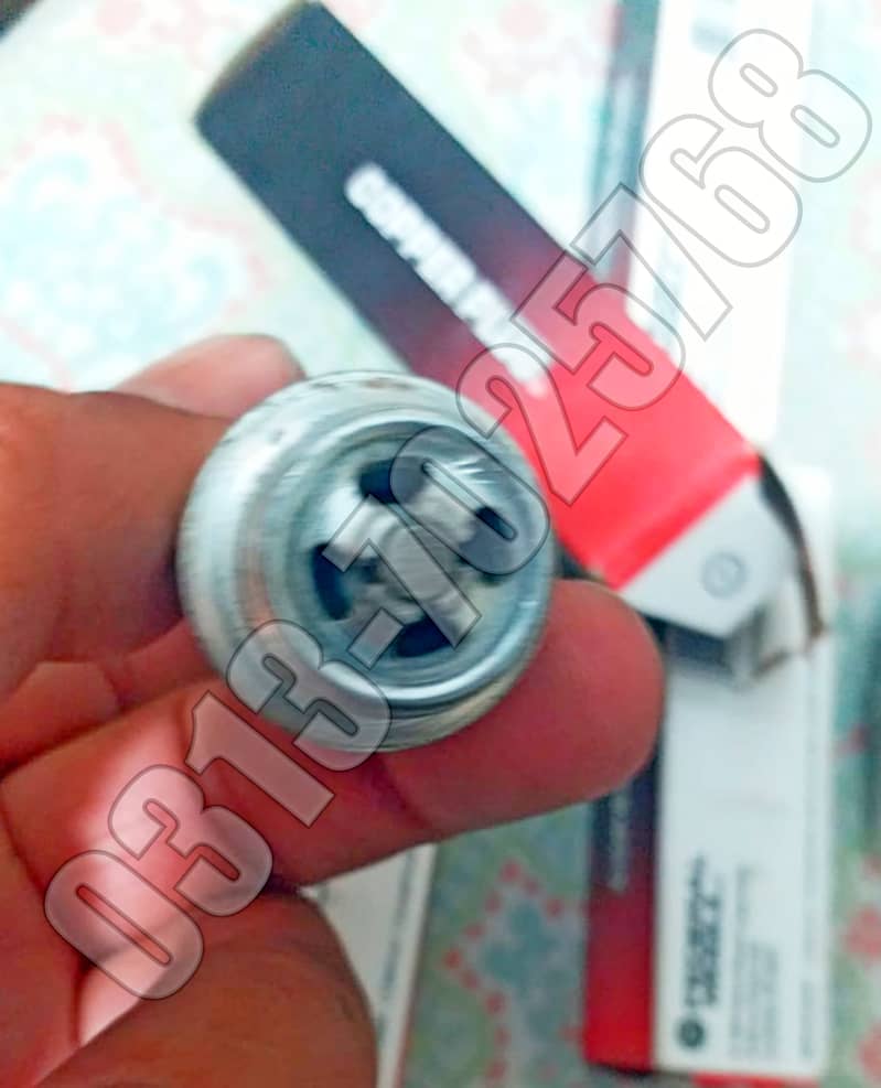 champion spark plugs RM77N 1