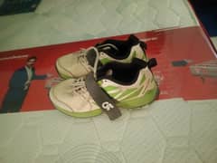 CA Cricket Shoes