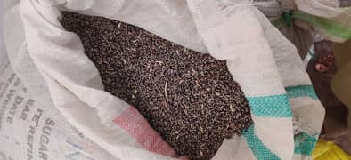 sugar free black wheat available in reasonable price