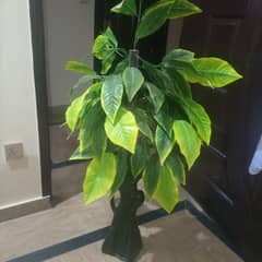 3 Artificial plants