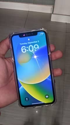 iphone x non pta