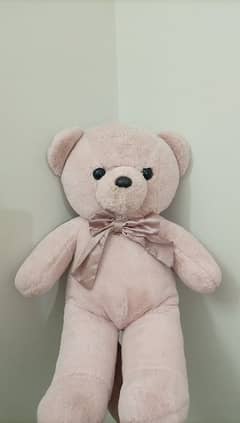 teddy