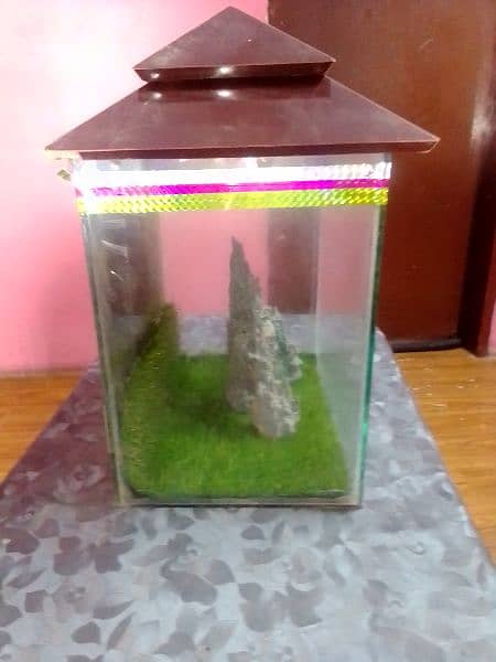 fish aquarium 1