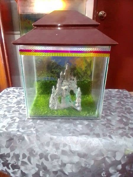 fish aquarium 2