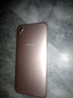 vivo