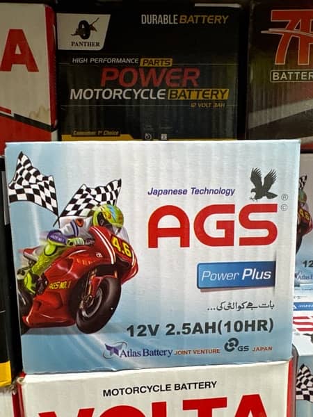 VOLTA AGS 7R PANTHER Batteries 2