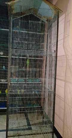 birds cage