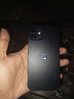 apple iPhone 12 PTA approved