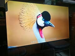 CLASS OFFER 75 ANDROID LED TV SAMSUNG  03221257237 Q i e