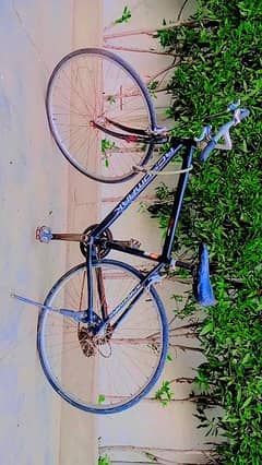 Original Road Mark Hybrid Bicycle