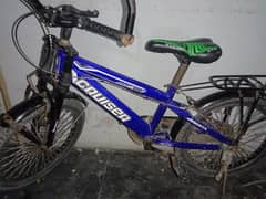 Land cruiser bicycle