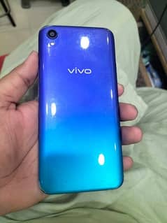 vivo